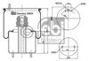 FEBI BILSTEIN 39856 Boot, air suspension